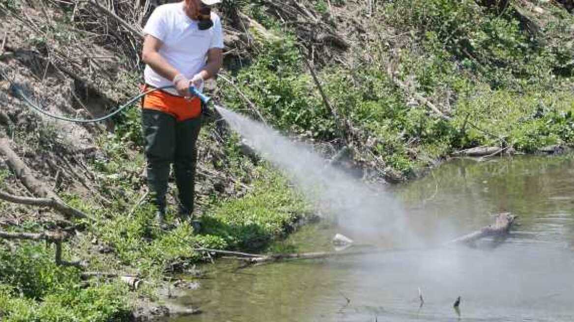 Θεσσαλονίκη: Αρχές Ιουνίου θα ξεκινήσουν οι ψεκασμοί για τα κουνούπια  