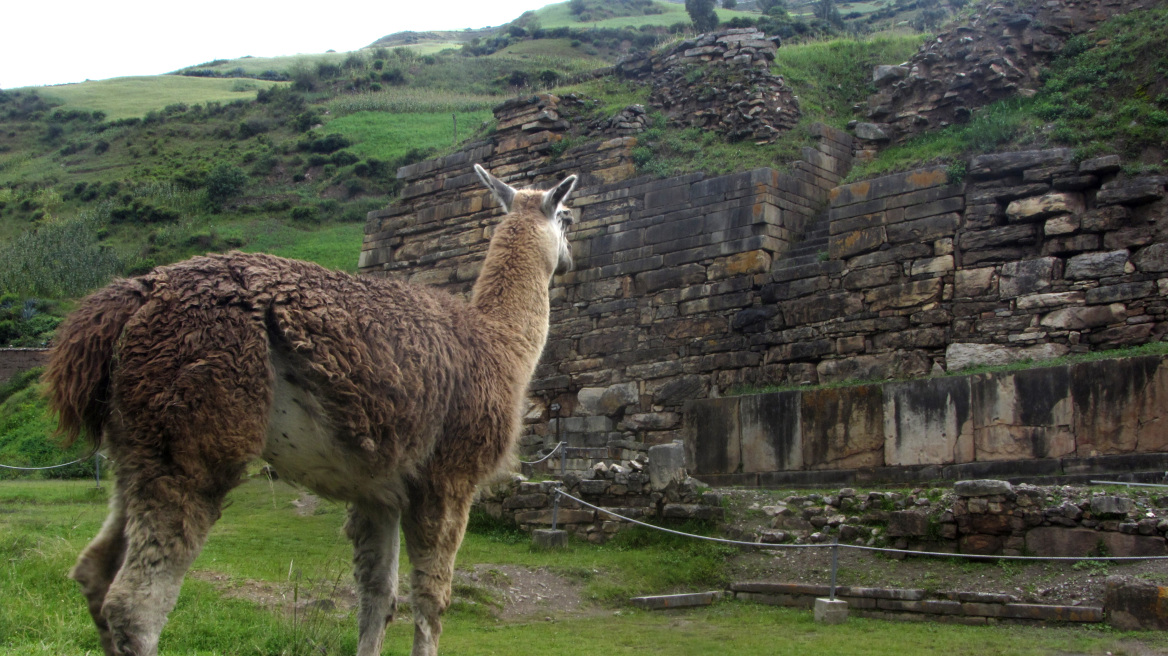 Ancient Greek links to Peru, home of the Gorgon Medusa