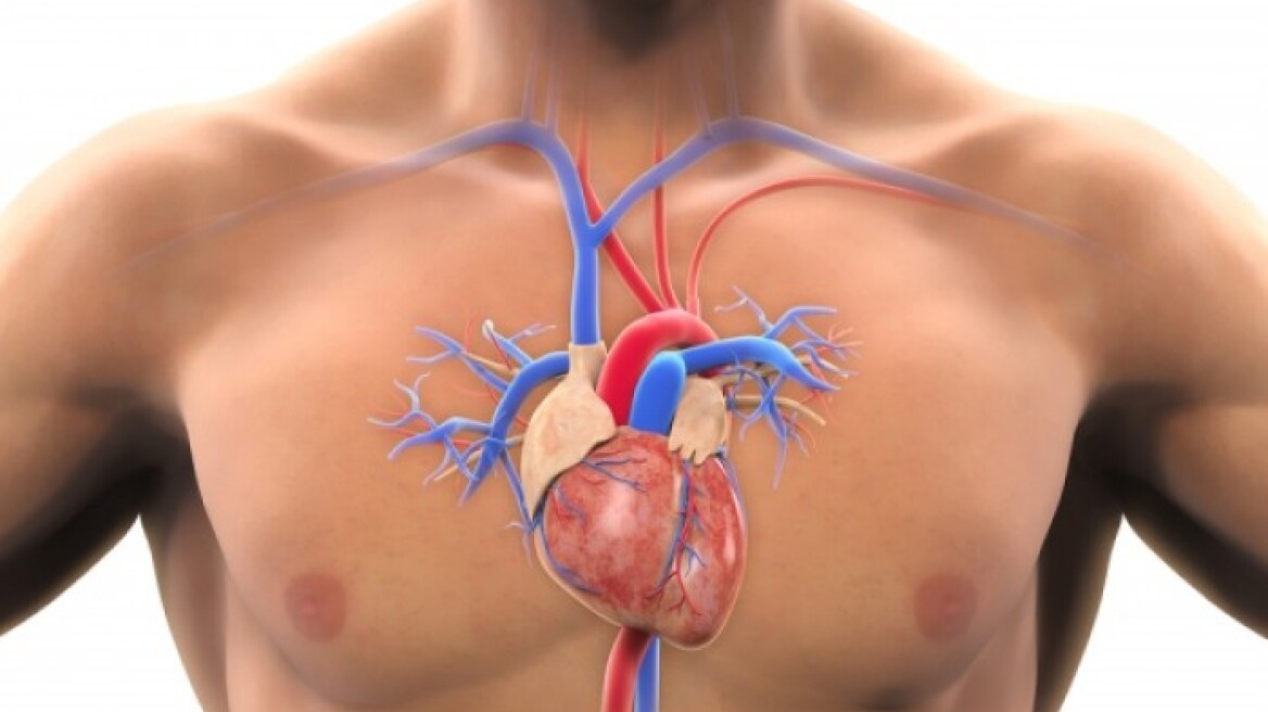 Φραγμένες αρτηρίες: Τέσσερα σημάδια που πρέπει να σας ανησυχήσουν