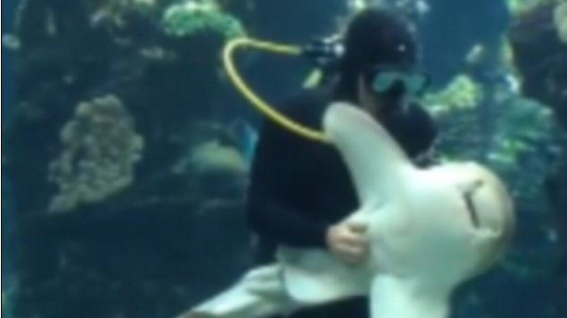 Βίντεο: Δείτε τον καρχαρία που τρελαίνεται για χάδια