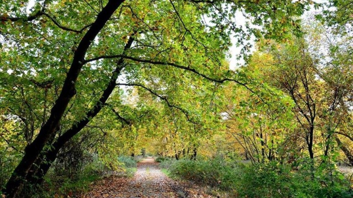 Green cultural routes, free events for the mind and spirit