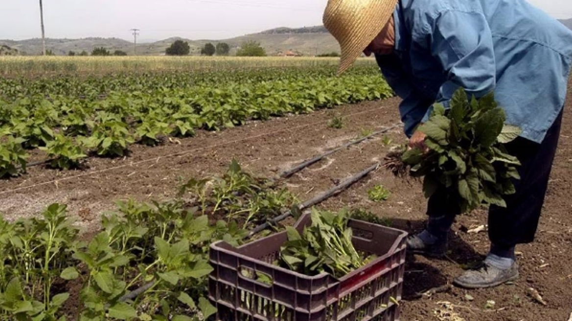 Δείτε την εγκύκλιο για τη φορολόγηση των αγροτών