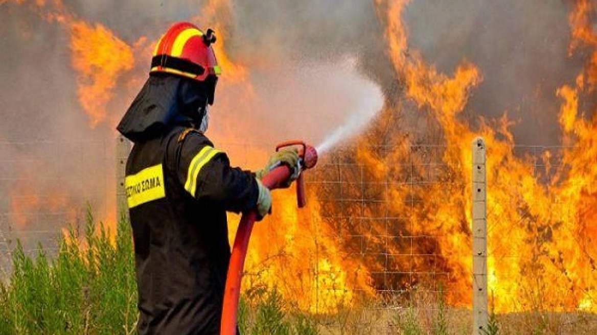 Πυρκαγιά σε δασική έκταση στα Βίλια Αττικής