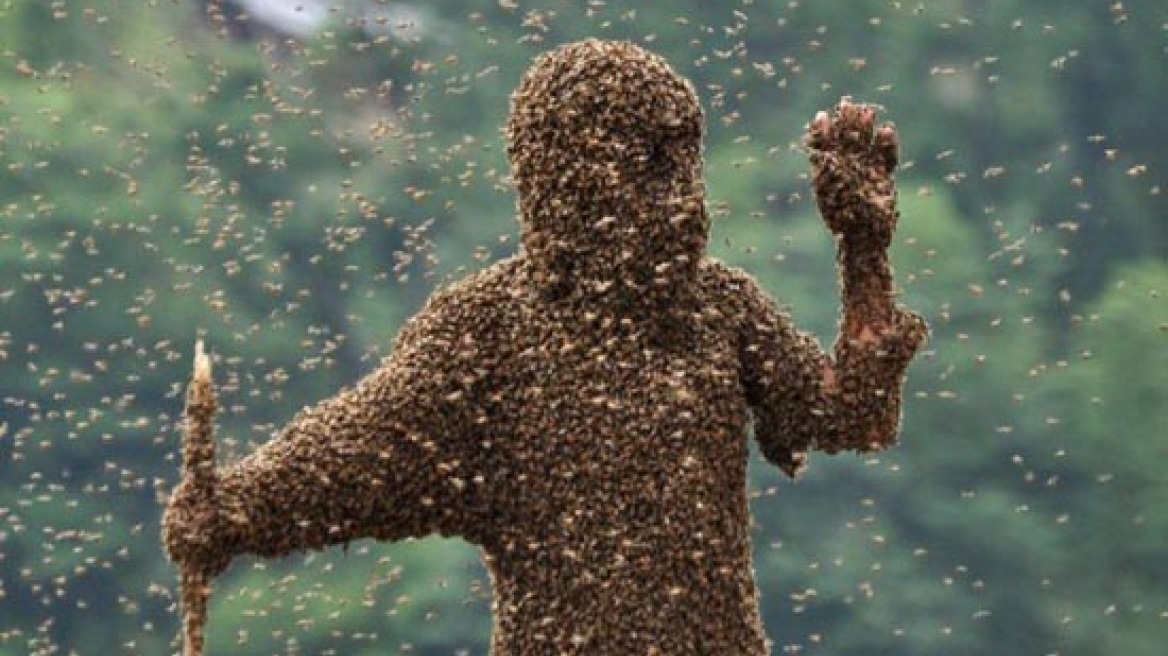 ΗΠΑ: Τον τσίμπησαν 500-1000 μέλισσες αλλά επέζησε! 