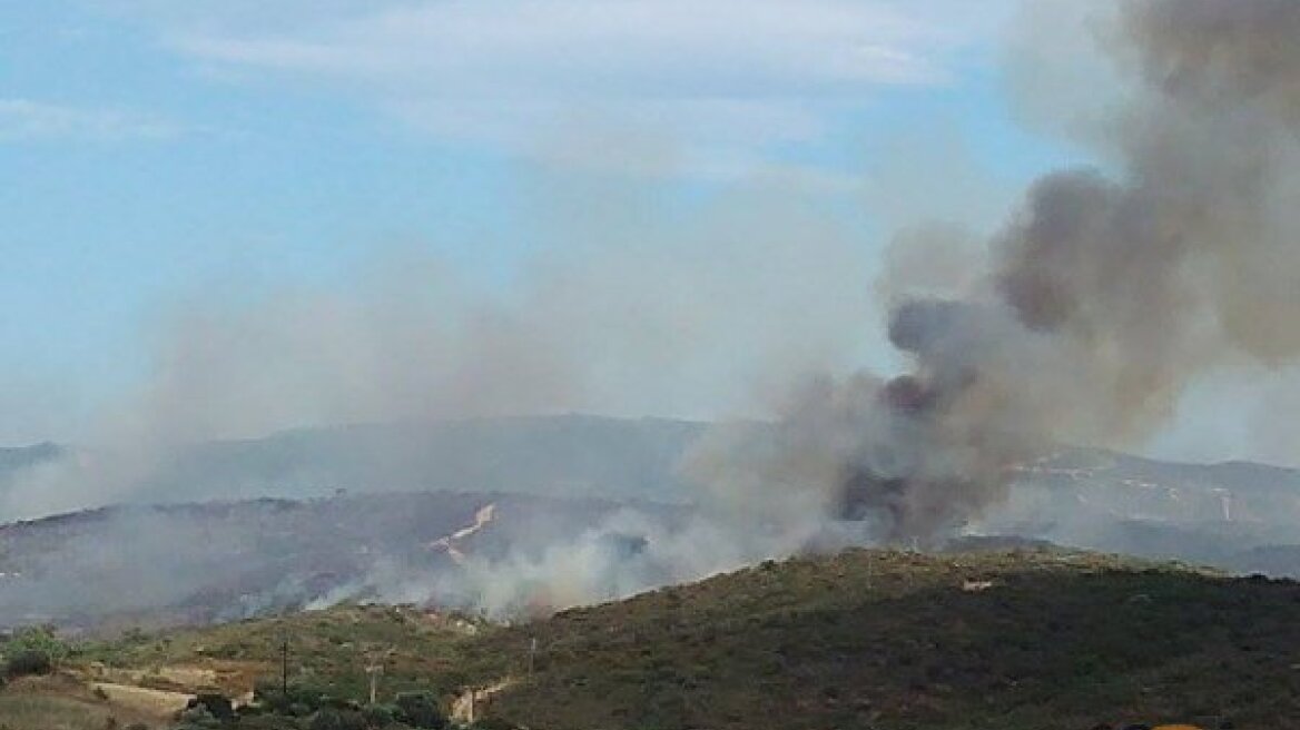 Σε ύφεση η πυρκαγιά στην Χαλκιδική - Απειλήθηκαν εξοχικά και ξενοδοχεία