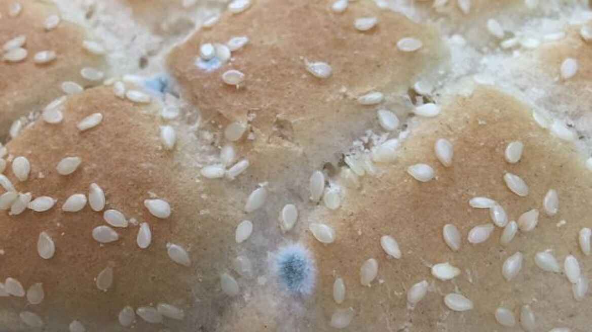 Πώς τιμώρησε Βρετανός τα McDonald's που του σερβίρισαν μουχλιασμένο burger;