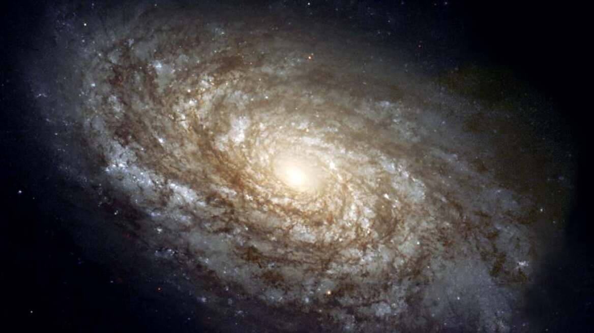 Αστροβιολογία: Διακεκριμένος επιστήμονας πιστεύει ότι οι εξωγήινοι θα μοιάζουν με... μας!