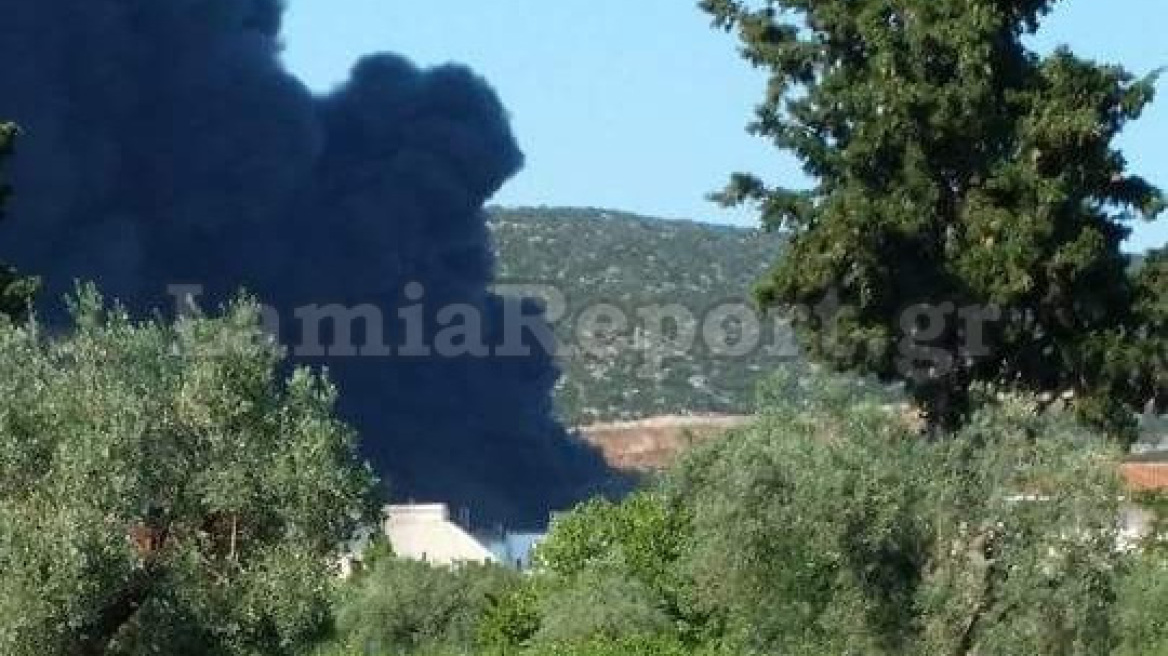 Πυρκαγιές στις περιοχές Χασιά και Στυλίδα