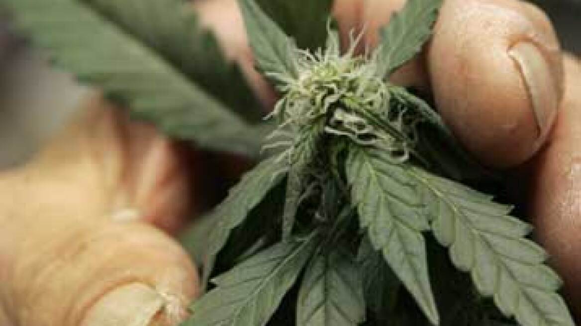 Έψαχναν αγοραστές για το χασίς με κινητό-ρολόι!