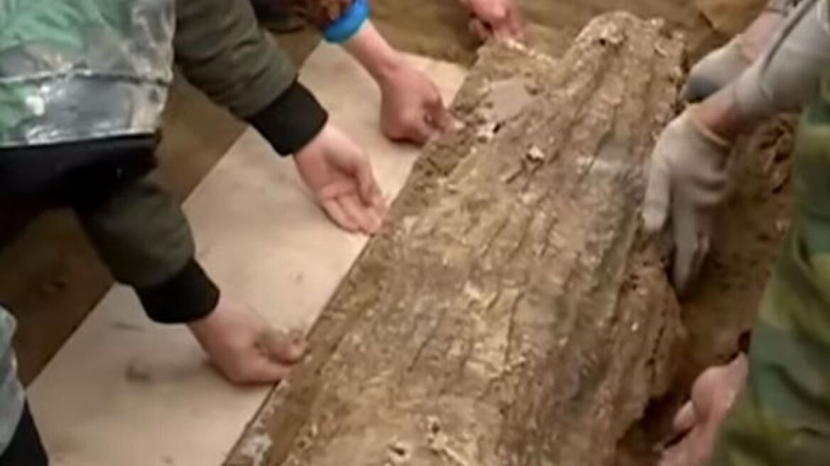 Σιβηρία: Ανακαλύφθηκε παράξενο κουκούλι από φλοιό δέντρου!