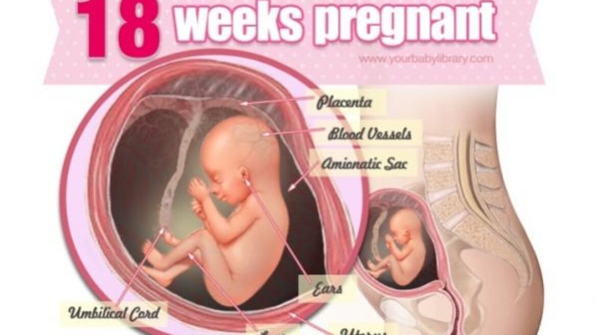 Εγκυμοσύνη ανά εβδομάδα: 18η εβδομάδα της κύησης!