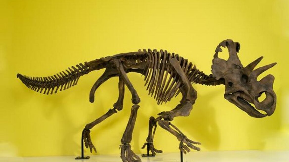 Παλαιοντολόγοι ανακάλυψαν νέο είδος δεινόσαυρου
