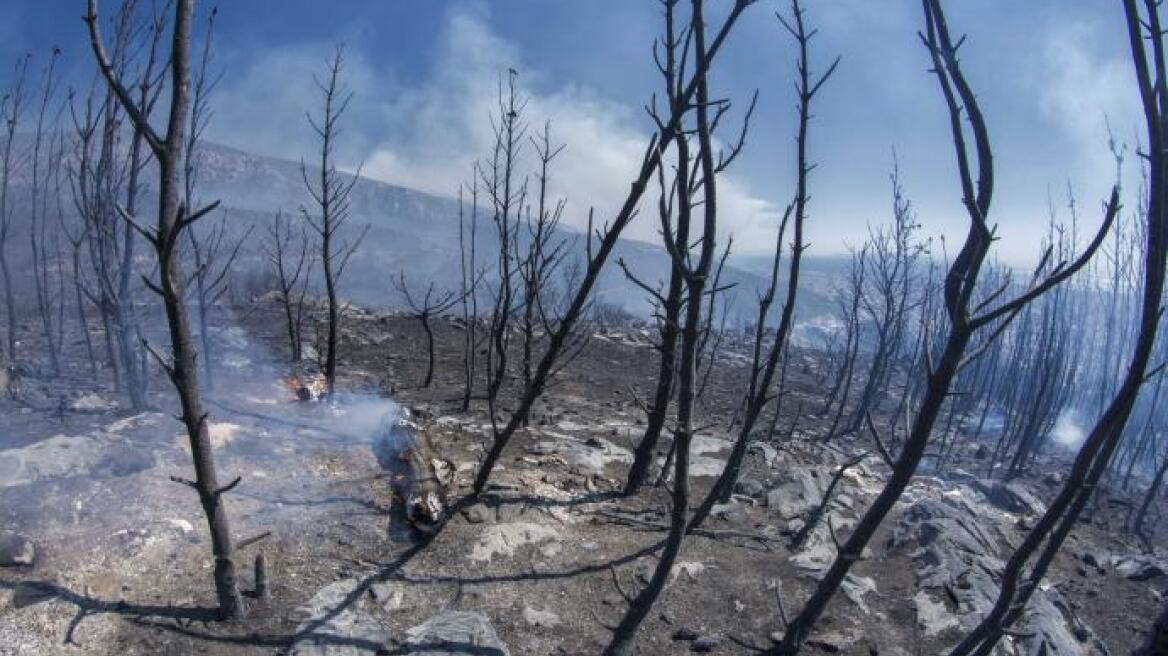 Πολύ υψηλός κίνδυνος πυρκαγιάς και αύριο