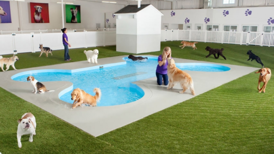 Άλογα και... αγελάδες σε αεροδρόμιο; Δείτε το πρώτο terminal αποκλειστικά και μόνον για ζώα!