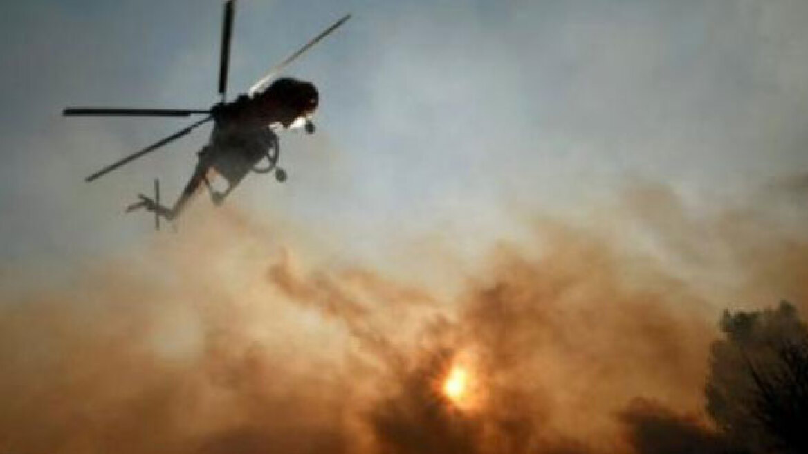 Πυρκαγιά στα Οινόφυτα