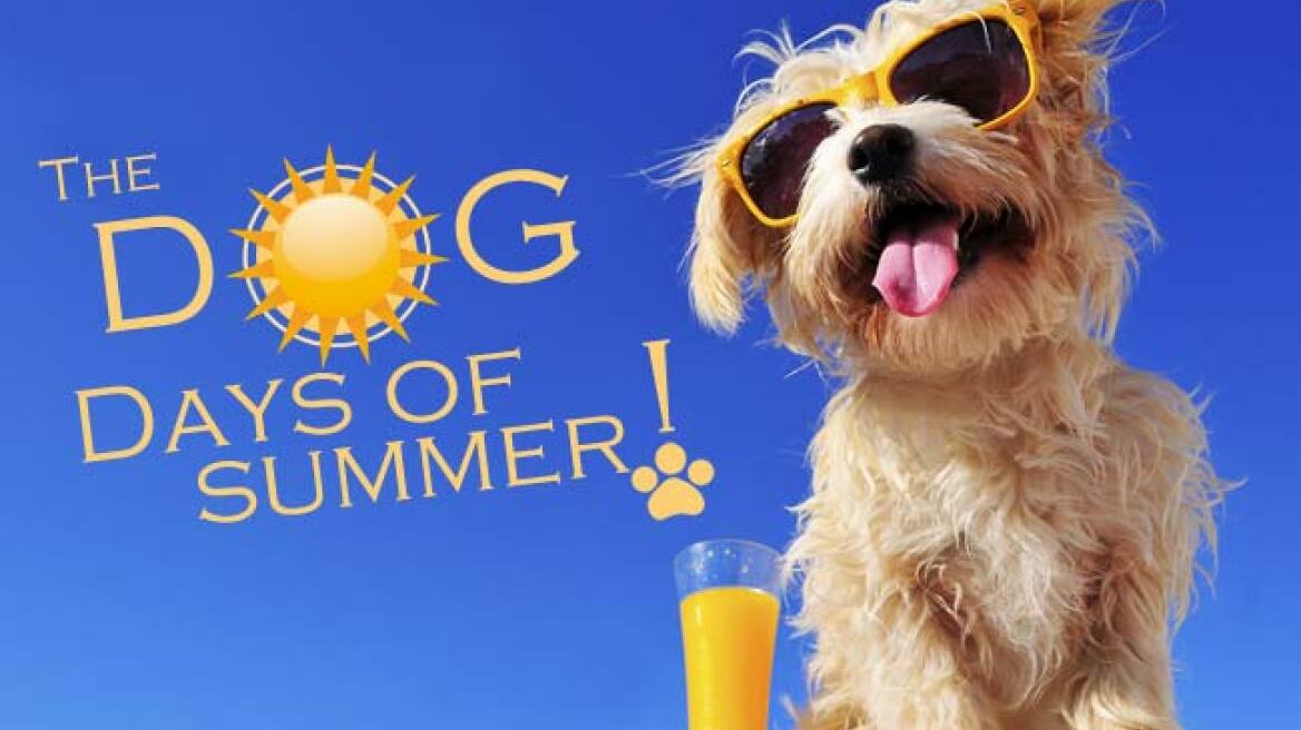 How did the ancient Greeks invent the dog days of summer? 