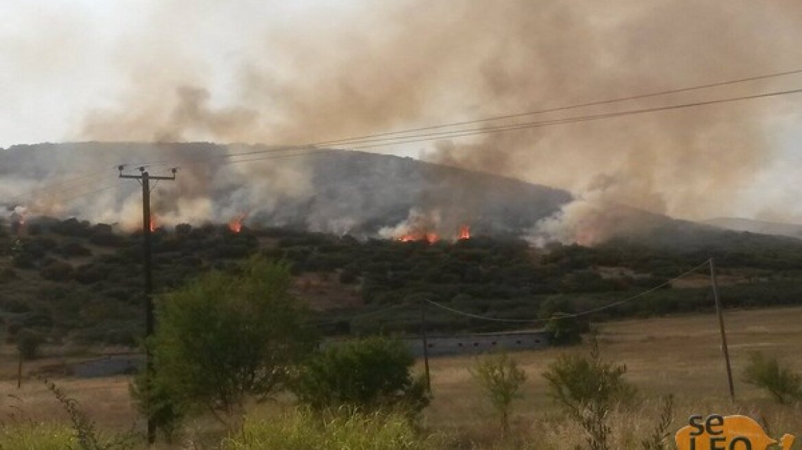 Υπό μερικό έλεγχο οι πυρκαγιές σε Καβάλα και Πάργα 
