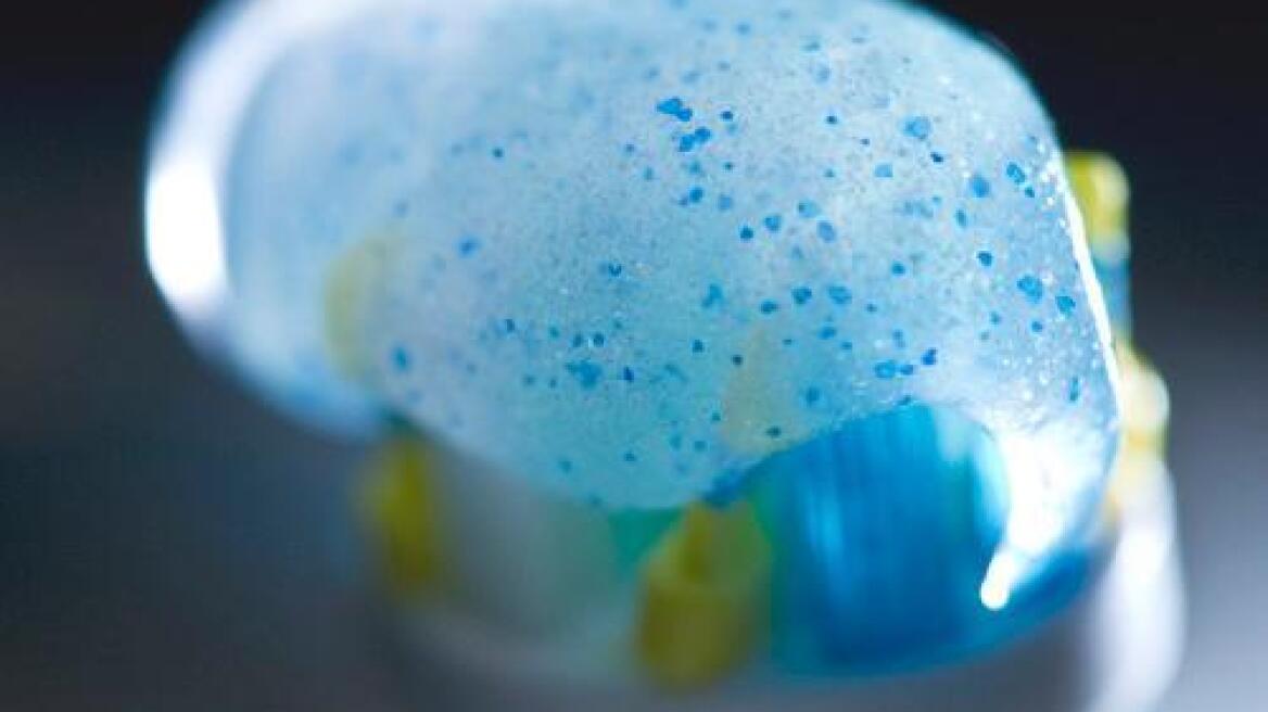 Γιατί τα μικροσφαιρίδια στις οδοντόκρεμες απειλούν τα θαλάσσια οικοσυστήματα 