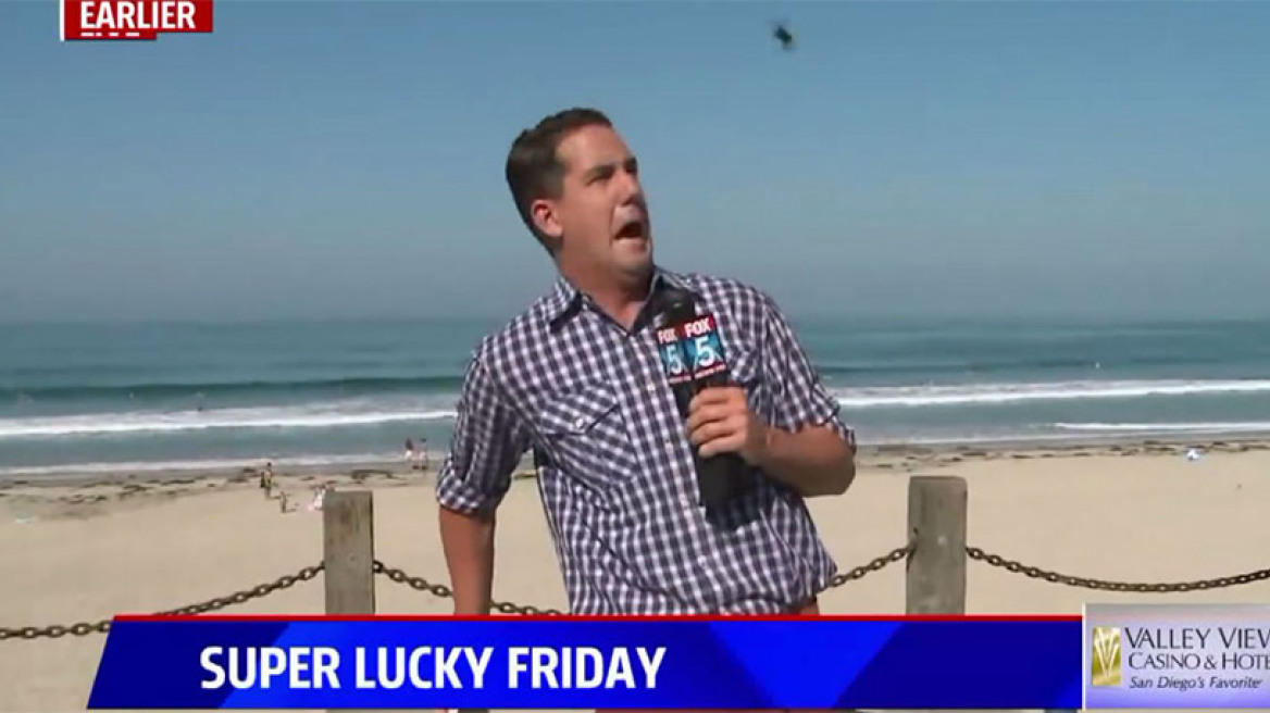 Έντρομος ρεπόρτερ παλεύει με τεράστιο έντομο ενώ είναι στον... αέρα 