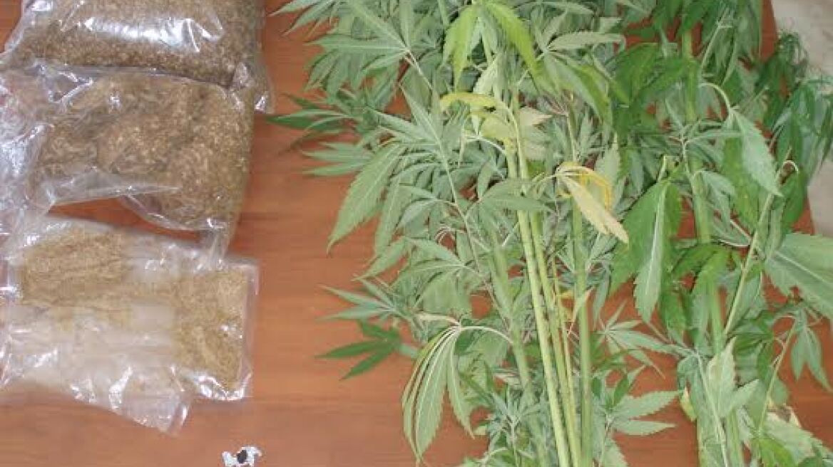 Γρεβενά: Συνέλαβαν χασισοκαλλιεργητή με λαθραίο καπνό