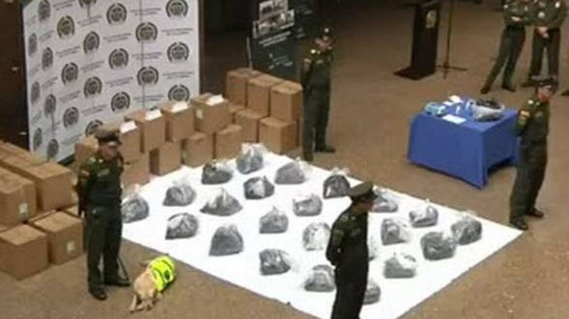 Κολομβία: Ένα λαμπραντόρ χάλασε τα σχέδια των βαρόνων της κοκαΐνης