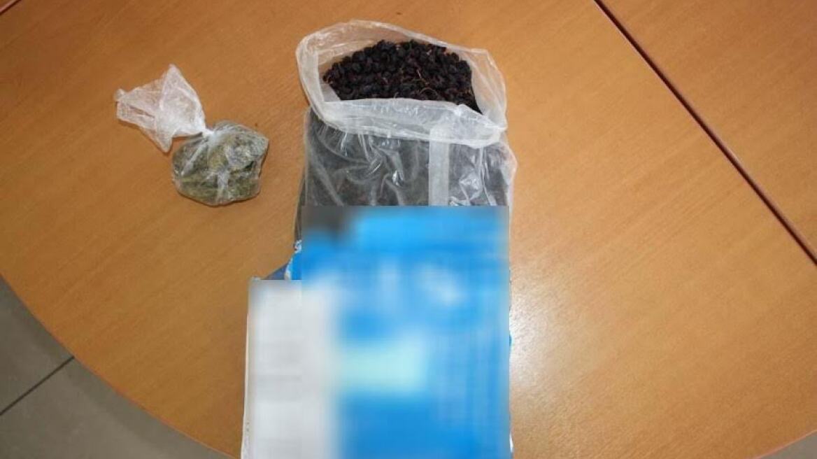 Κεφαλονιά: Ο Deco μύρισε το χασίς στον σταθμό του ΚΤΕΛ!