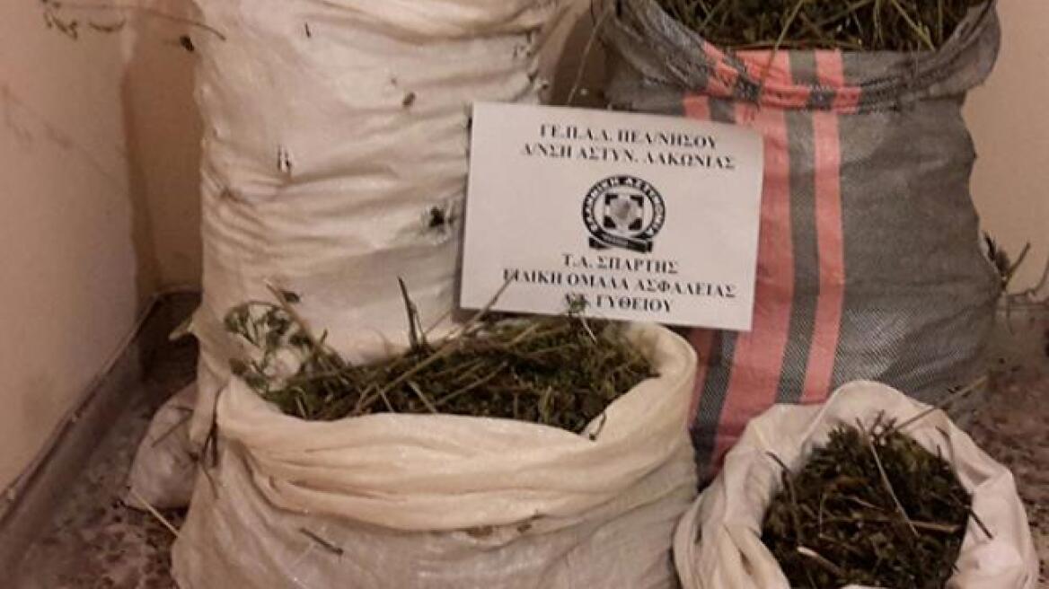 Μάνη: Συνελήφθη 22χρονος με 15 κιλά χασίς