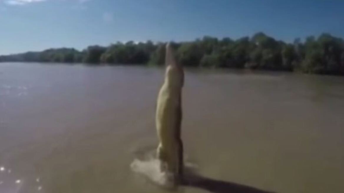Εντυπωσιακό βίντεο: Δείτε έναν κροκόδειλο να κάνει το... άλμα του αιώνα