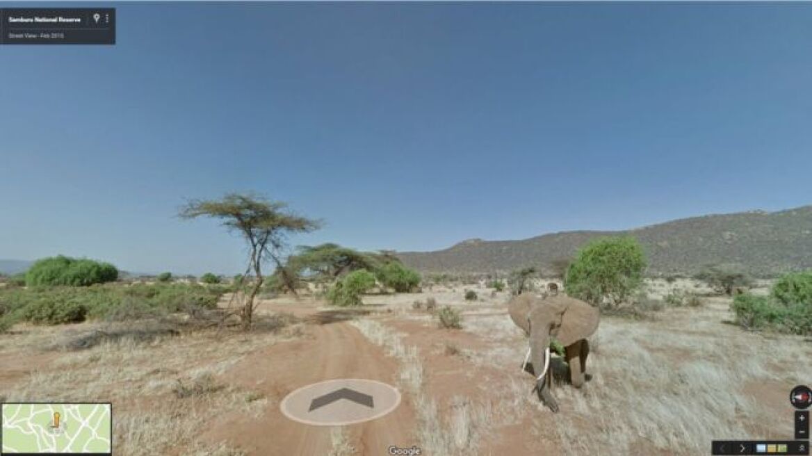 Walk with the elephants in Kenya with Google Street View