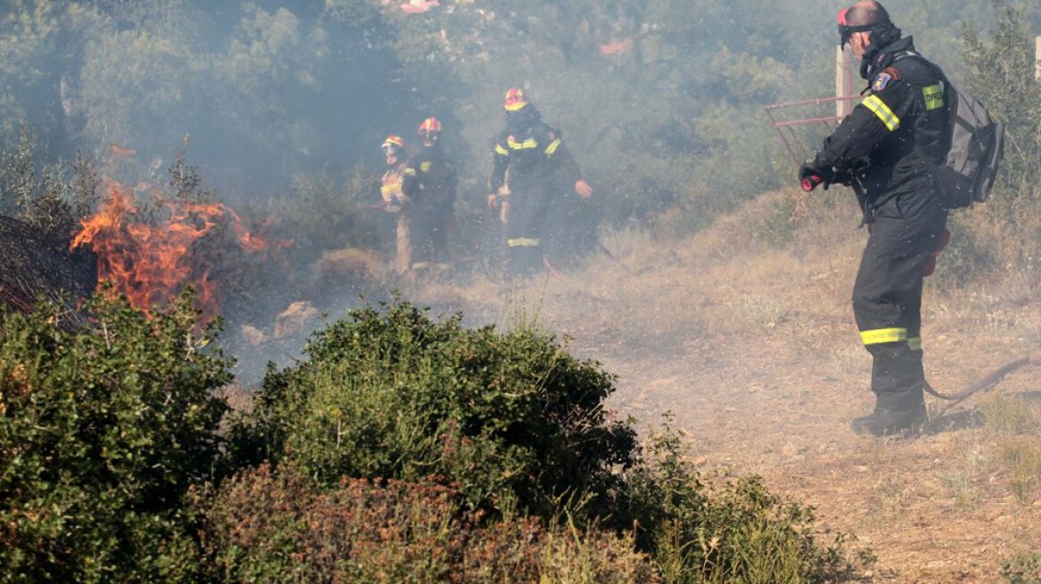 Πυρκαγιά στη Σαλαμίνα 