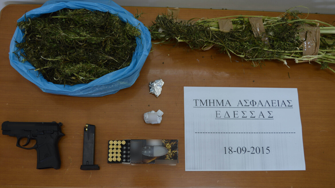 Πέλλα: Όπλα και κλοπιμαία σε σπίτι χασισοκαλλιεργητών
