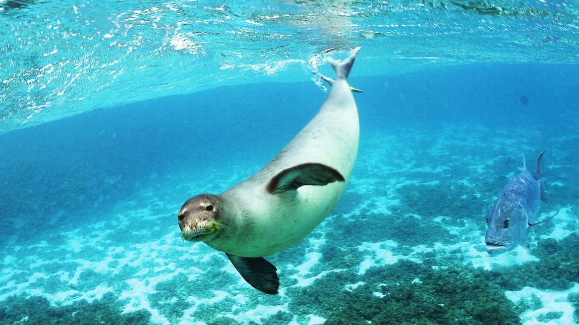 Tourist arrivals increased in 2014‏