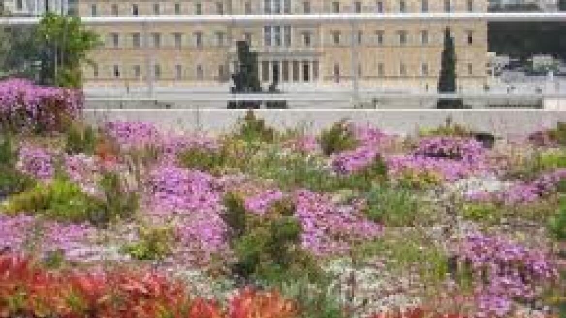 Mini-Green Roof Courses for a greener Athens!