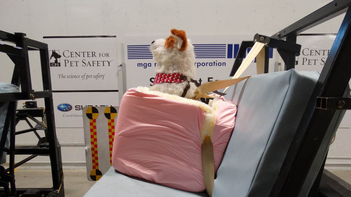 Subaru: Ξεκίνησε τα crash test για σκυλιά! (video)