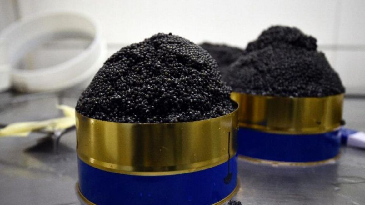 Ρωσία: Πιάστηκε νεκροφόρα με μισό τόνο χαβιάρι κρυμμένο μέσα στο... φέρετρο