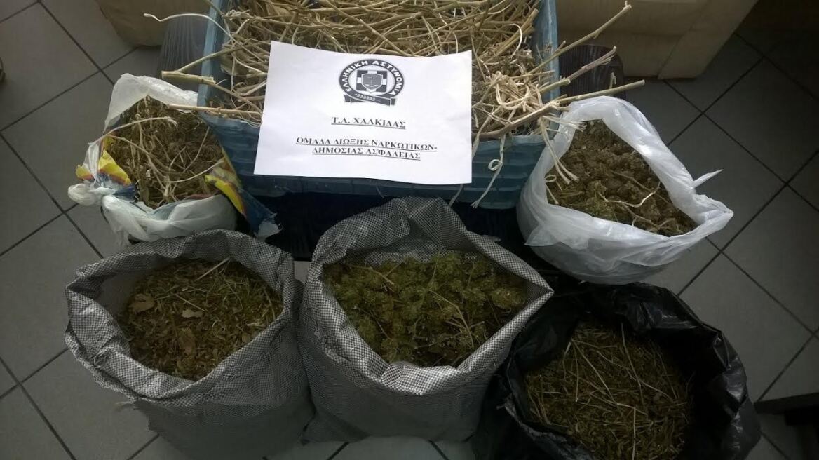 Εύβοια: Γιαπί έγινε αποξηραντήριο για χασίς στο Αλιβέρι
