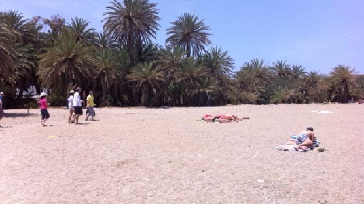 Σήμα κινδύνου για το φοινικόδασος του Βάι