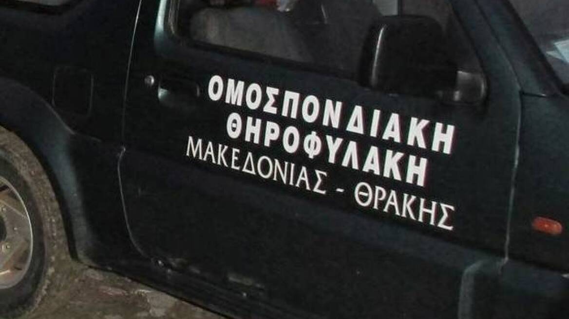 Δράμα: Σκότωσαν ζαρκάδι σε καταφύγιο άγριων ζώων