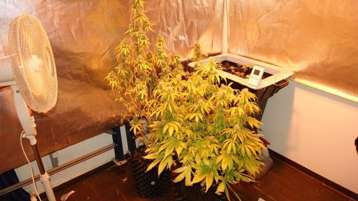Γιάννενα: Κοιμόταν μέσα σε εργαστήριο υδροπονικής κάνναβης!