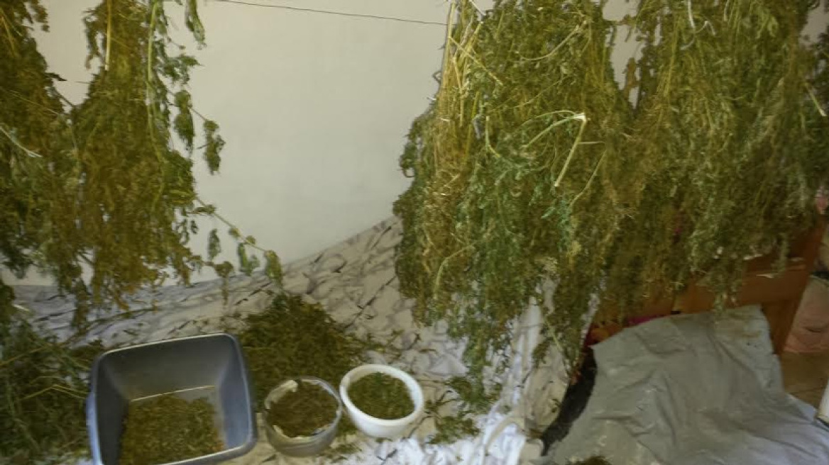 Συλλήψεις για χασίς σε Ρέθυμνο, Ζάκυνθο και Αγρίνιο