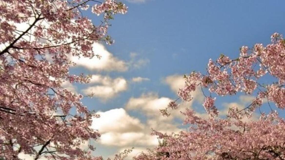 Ανοιξιάτικος και σήμερα ο καιρός