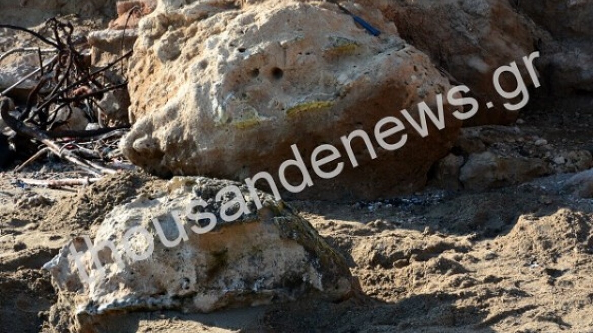 Giant turtle fossils unearthed in Pieria