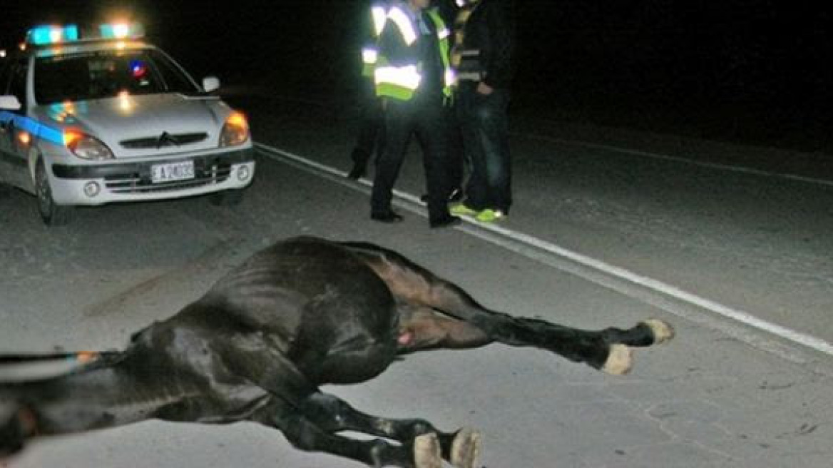 Φθιώτιδα: 57χρονη τράκαρε με άλογο και τραυματίστηκε σοβαρά!