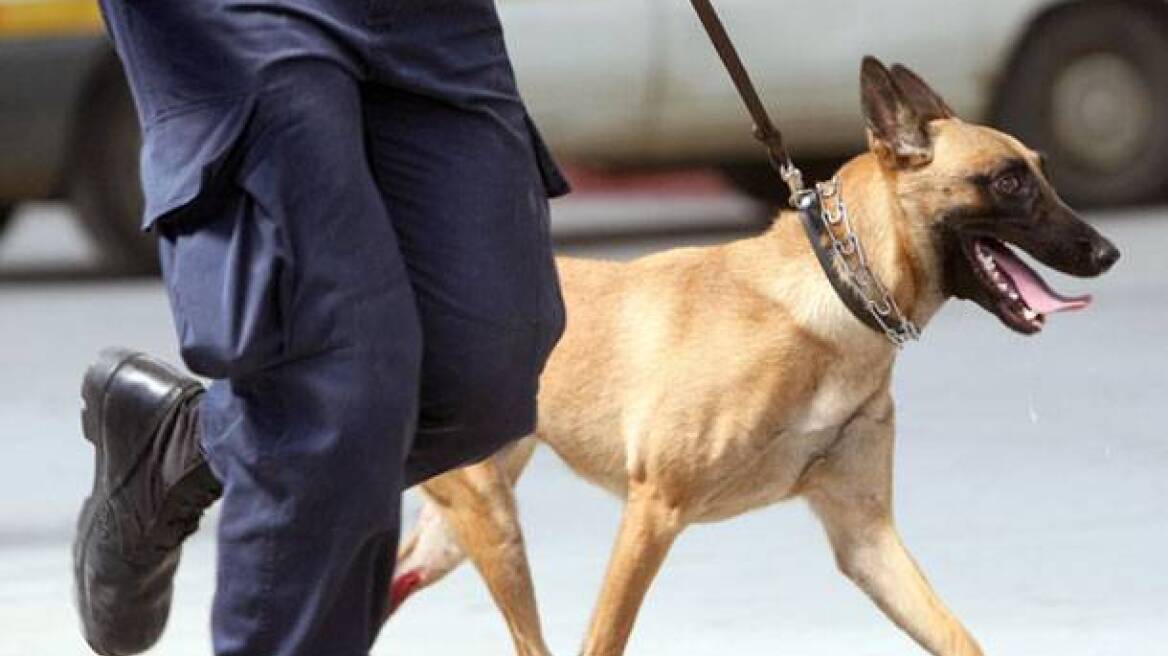 Αλεξανδρούπολη: Ο σκύλος ξετρύπωσε ναρκωτικά και όπλο