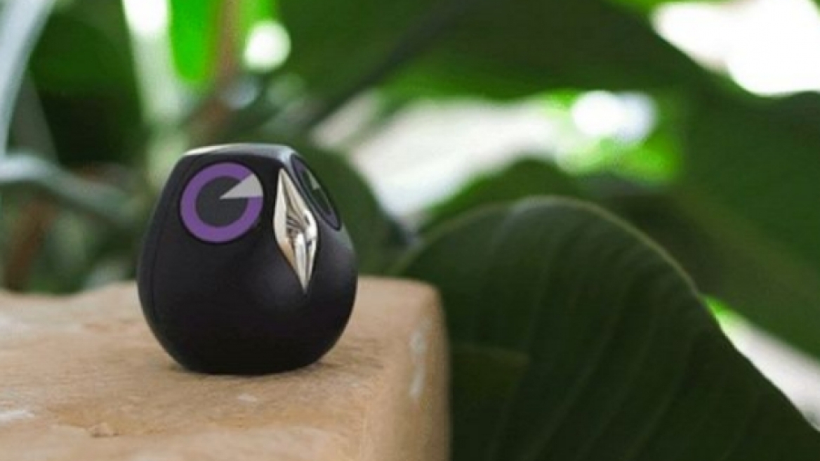 Η μυστική κουκουβάγια που προστατεύει από τους διαρρήκτες