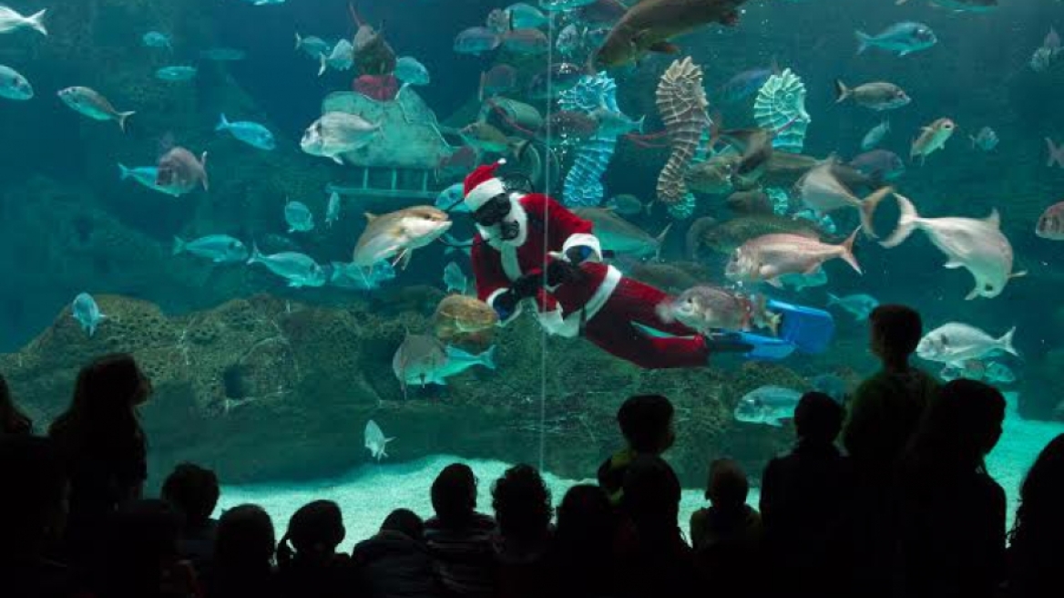 Santa Claus dives into Crete's aquarium!