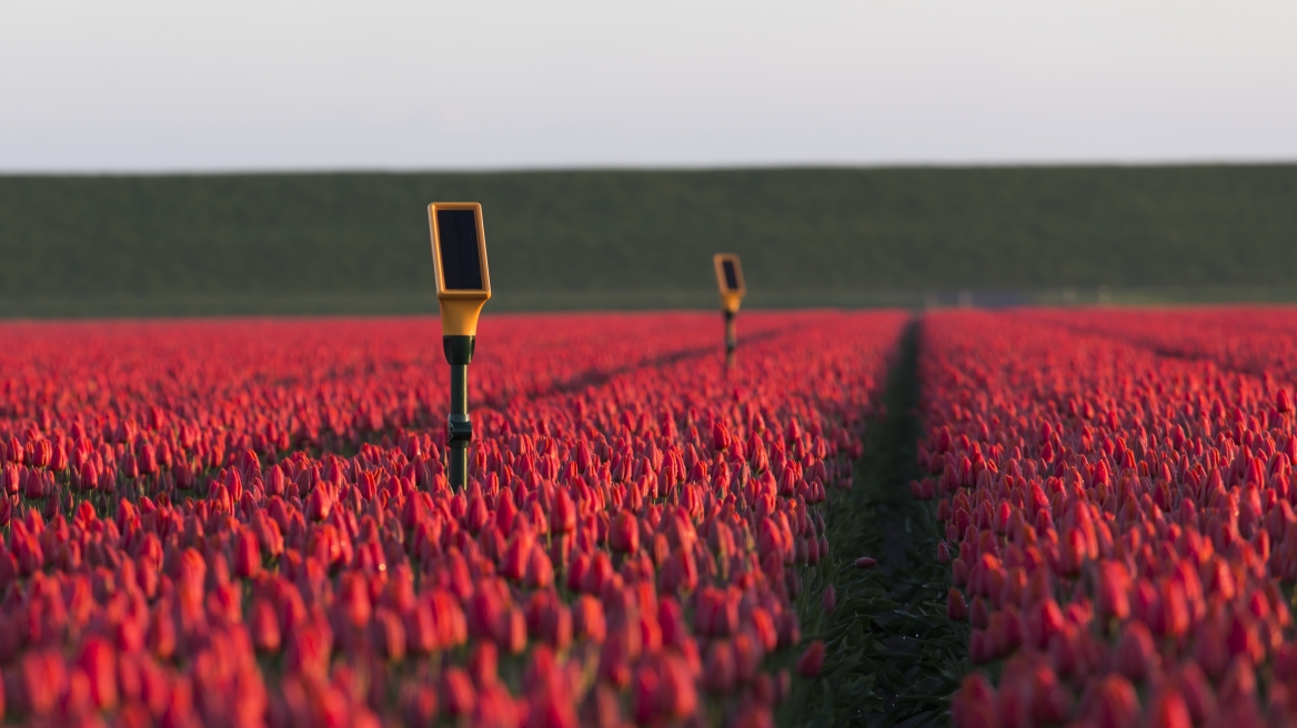 Από την ευφυή γεωργία μέχρι το ποδόσφαιρο, η ανάλυση δεδομένων δημιουργεί ευκαιρίες