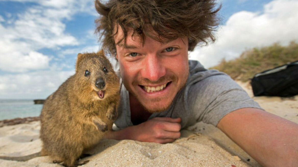 Ο Άλαν και οι selfies του με άγρια ζώα