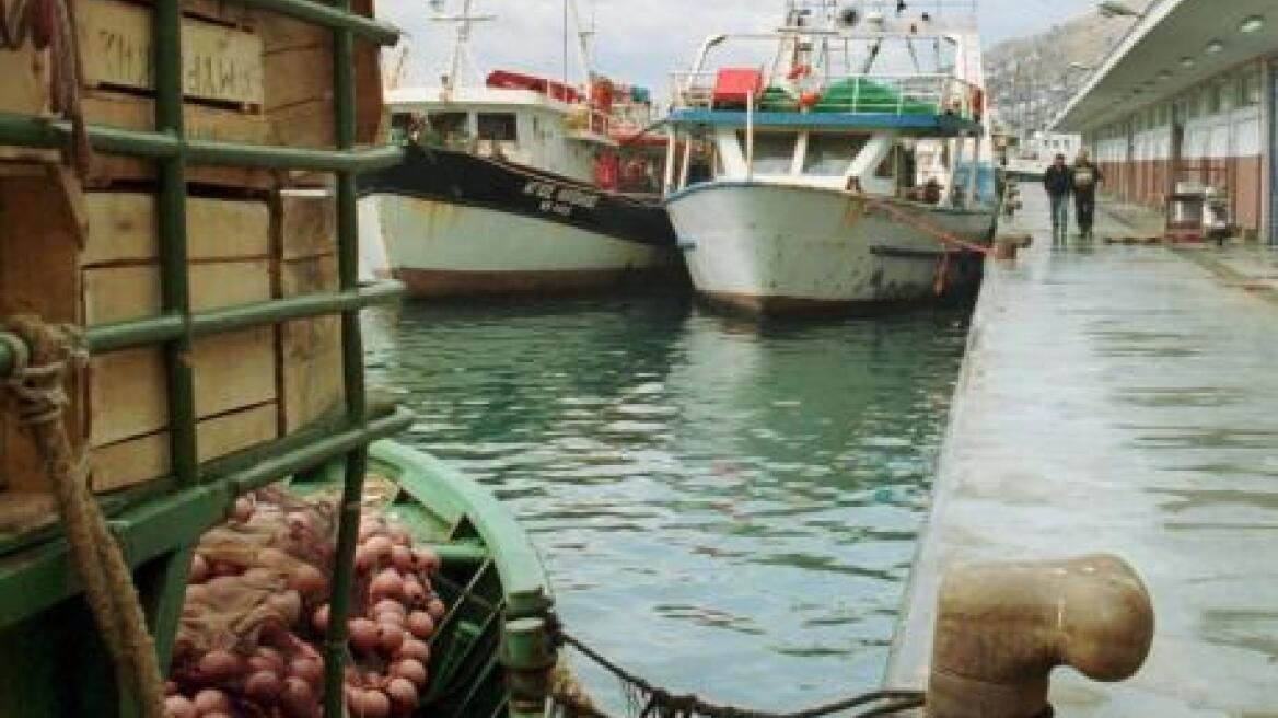Πάτρα: Κατασχέθηκαν 154 κιλά ψάρια χωρίς ιδιοκτήτη και θα δοθούν σε ιδρύματα
