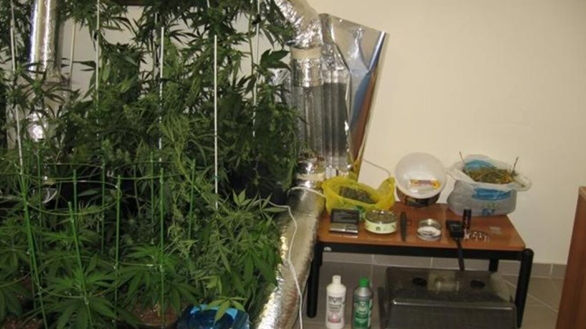 Κέρκυρα: Αλλοδαποί καλλιεργούσαν υδροπονική χασισοφυτεία 